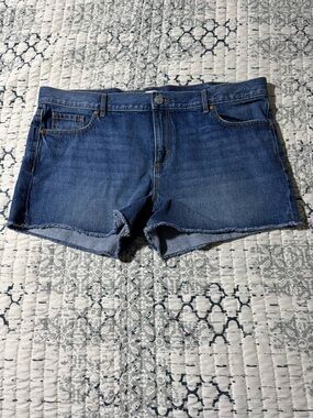 Ann Taylor Loft made and loved unhemmed Jean shorts Size 14